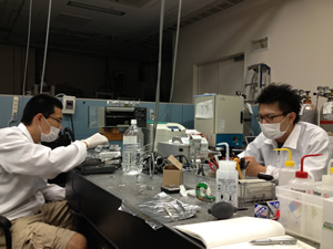 Working with Labmates